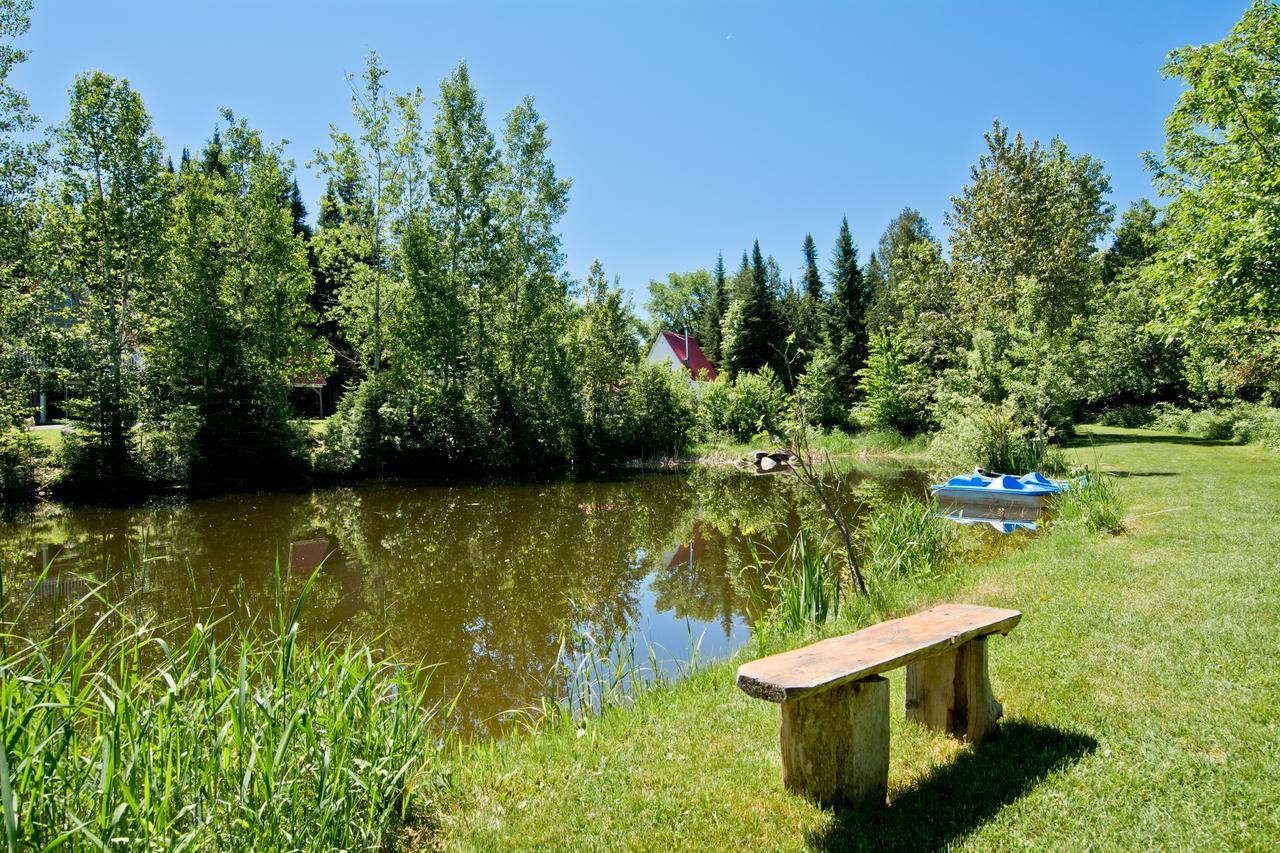 Camping Chalets Spas Pignons Rouges Saint Romain Exterior photo